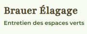 Photo Brauer Elagage