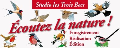 Les trois becs
